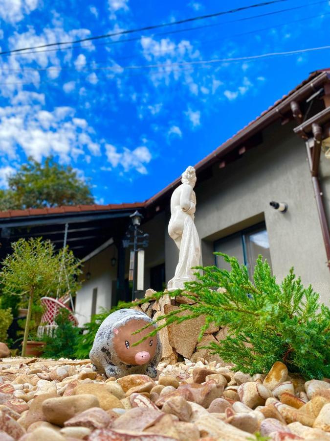 The Residence Of Silver Sky House Timişoara Buitenkant foto